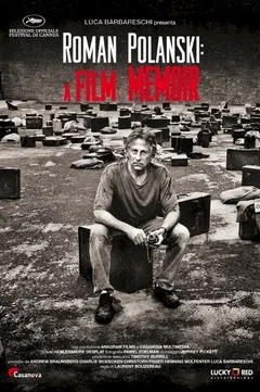 Affiche du film Film roman