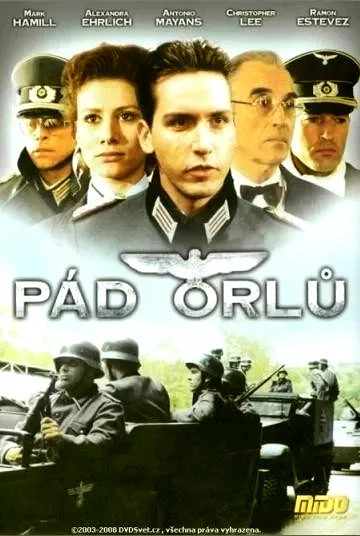 Affiche du film : La chute