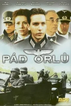Affiche du film La chute