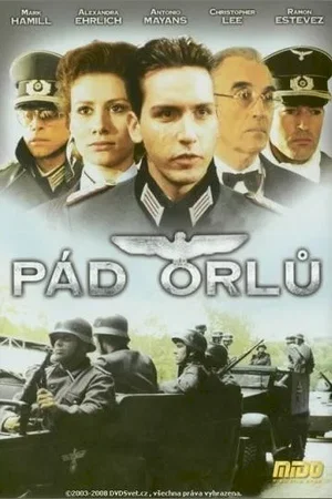 Affiche du film : La chute