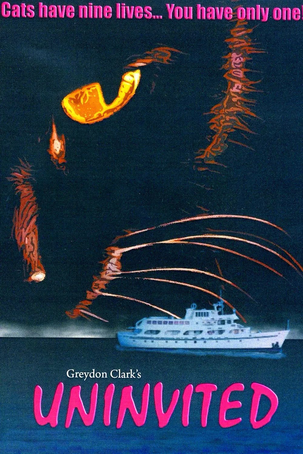 Affiche du film : Le clandestin