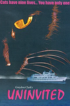 Affiche du film Le clandestin