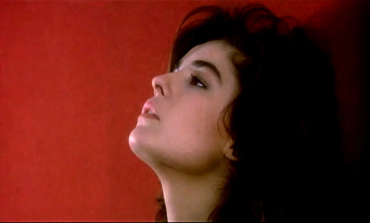 Photo 2 du film : Plaisirs pervers