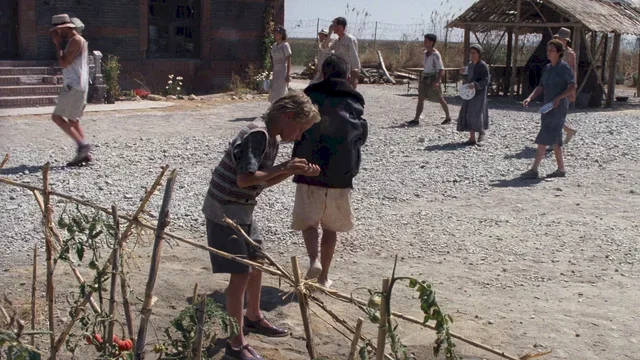Photo 9 du film : L'empire du soleil
