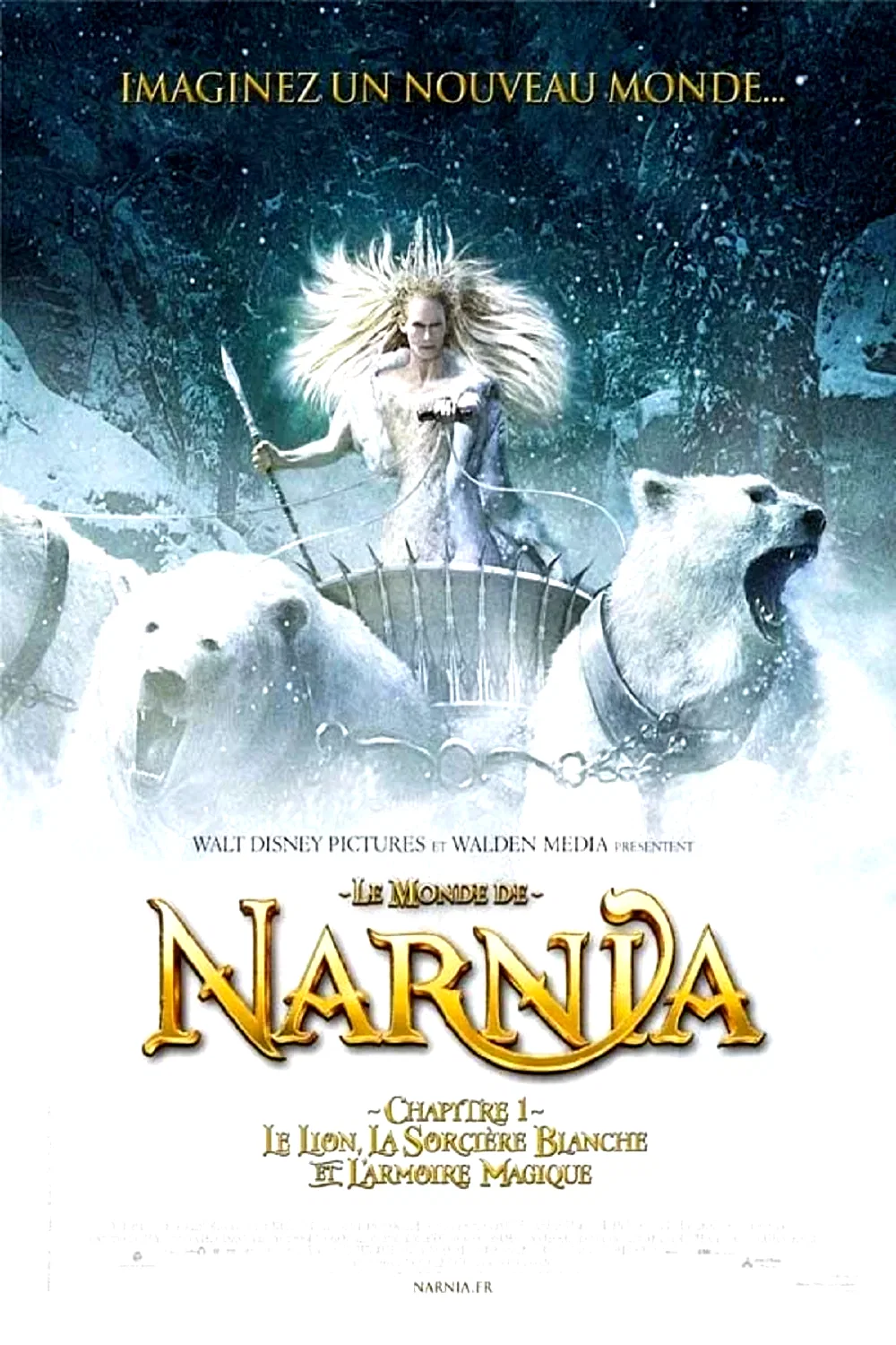 Affiche du film : La sorciere blanche