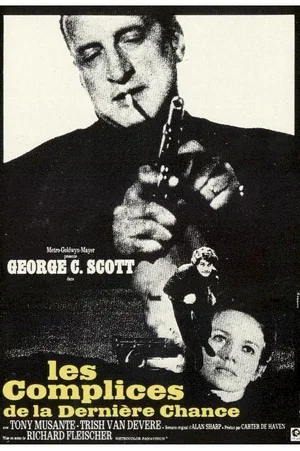 Affiche du film : Les complices de la derniere chance