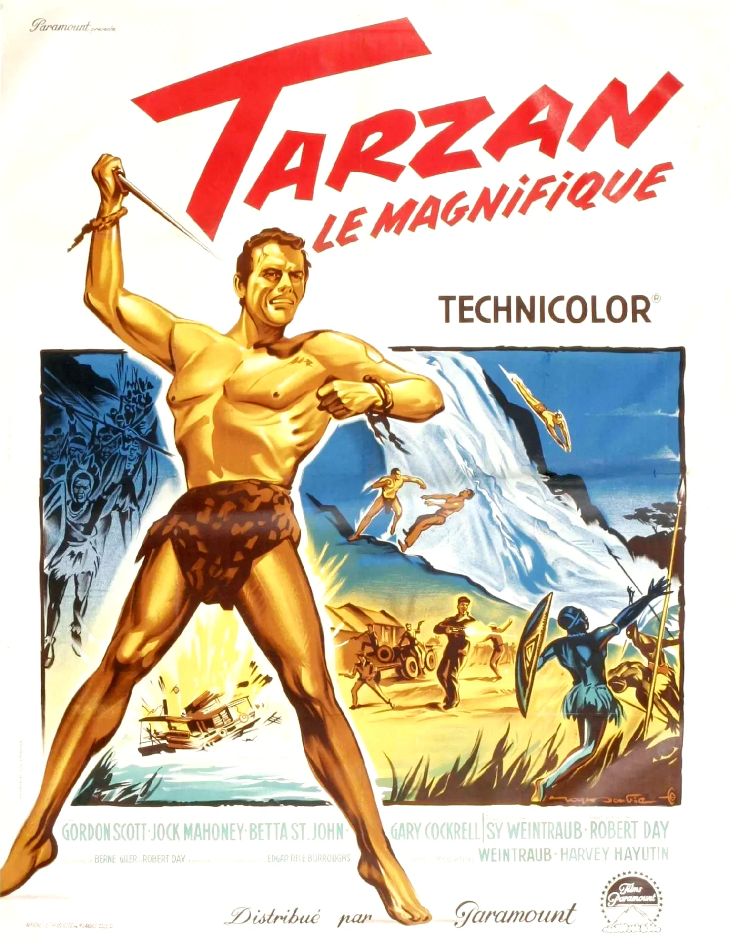 Affiche du film : Tarzan le magnifique