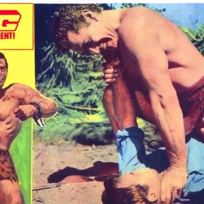 Photo du film : Tarzan le magnifique