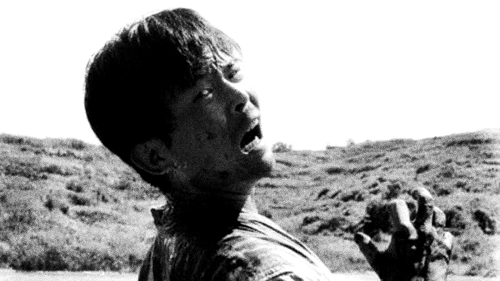 Photo 4 du film : Le traquenard