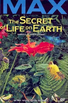 Affiche du film Le secret de la vie