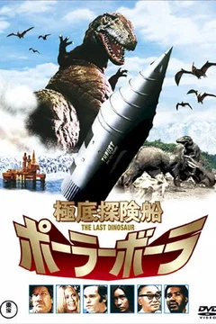 Affiche du film Bora bora