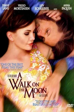 Affiche du film La complice
