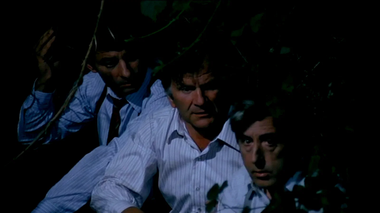 Photo 5 du film : Clair de lune