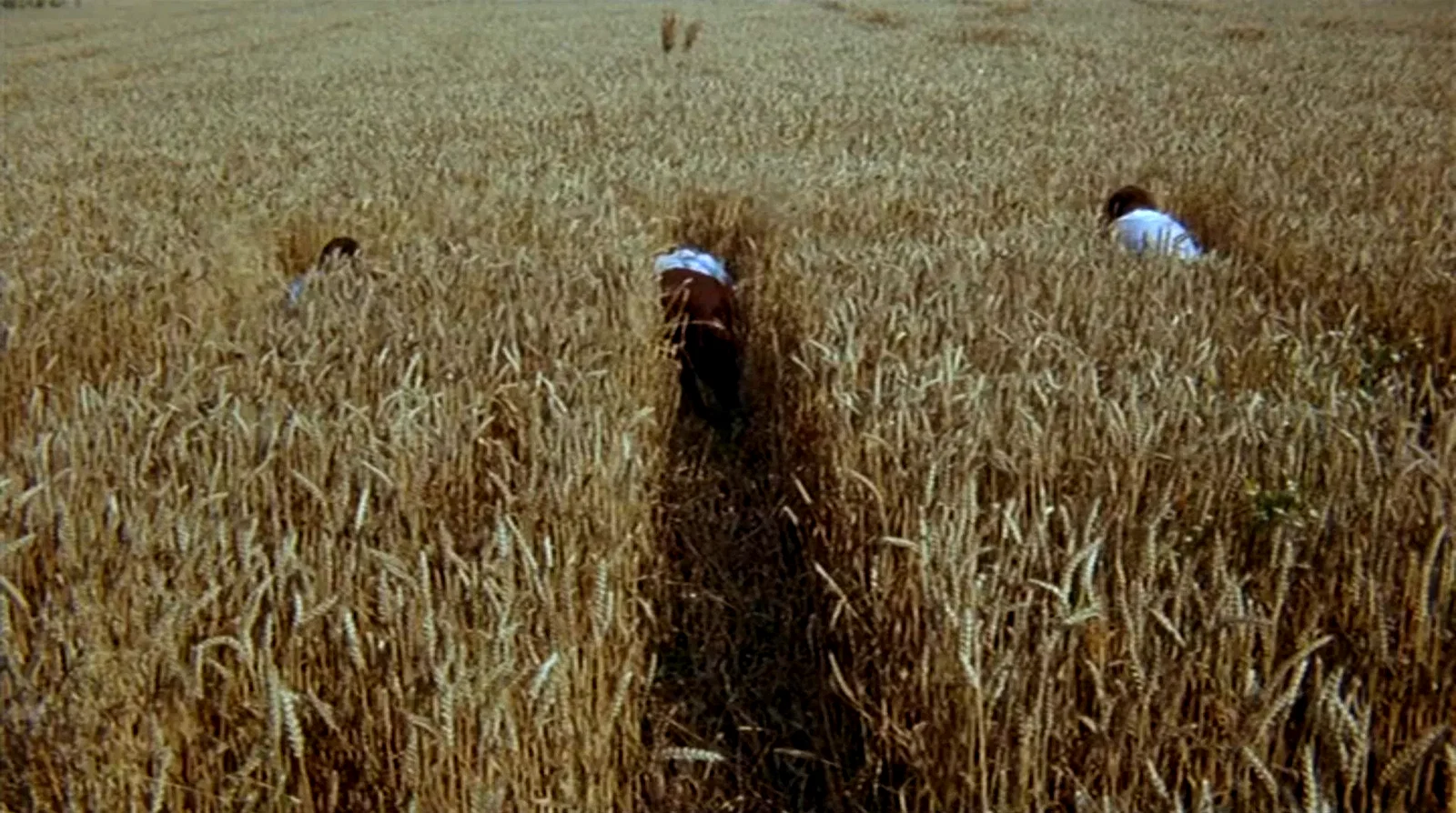 Photo 7 du film : Clair de lune