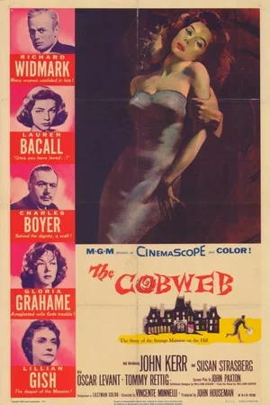 Affiche du film : La toile d'araignée
