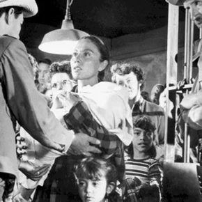 Photo du film : Le sel de la terre