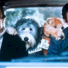 Photo du film : Hercule