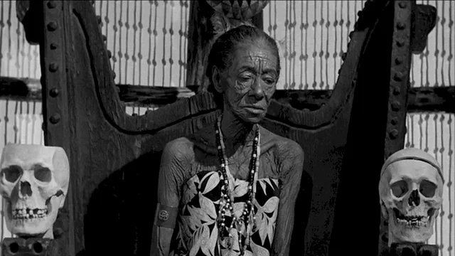 Photo 2 du film : La sangsue