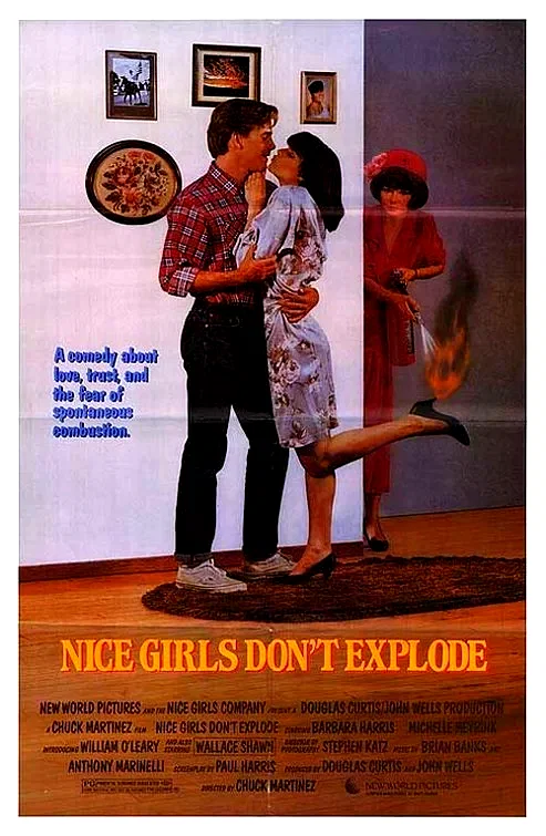 Affiche du film : Tout feu tout flamme