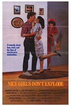 Affiche du film Tout feu tout flamme