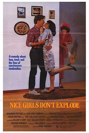 Affiche du film : Tout feu tout flamme