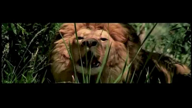 Photo du film : Roar