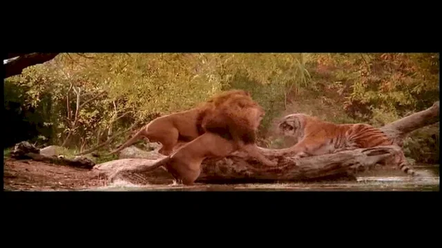 Photo du film : Roar