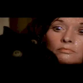 Photo du film : Roar