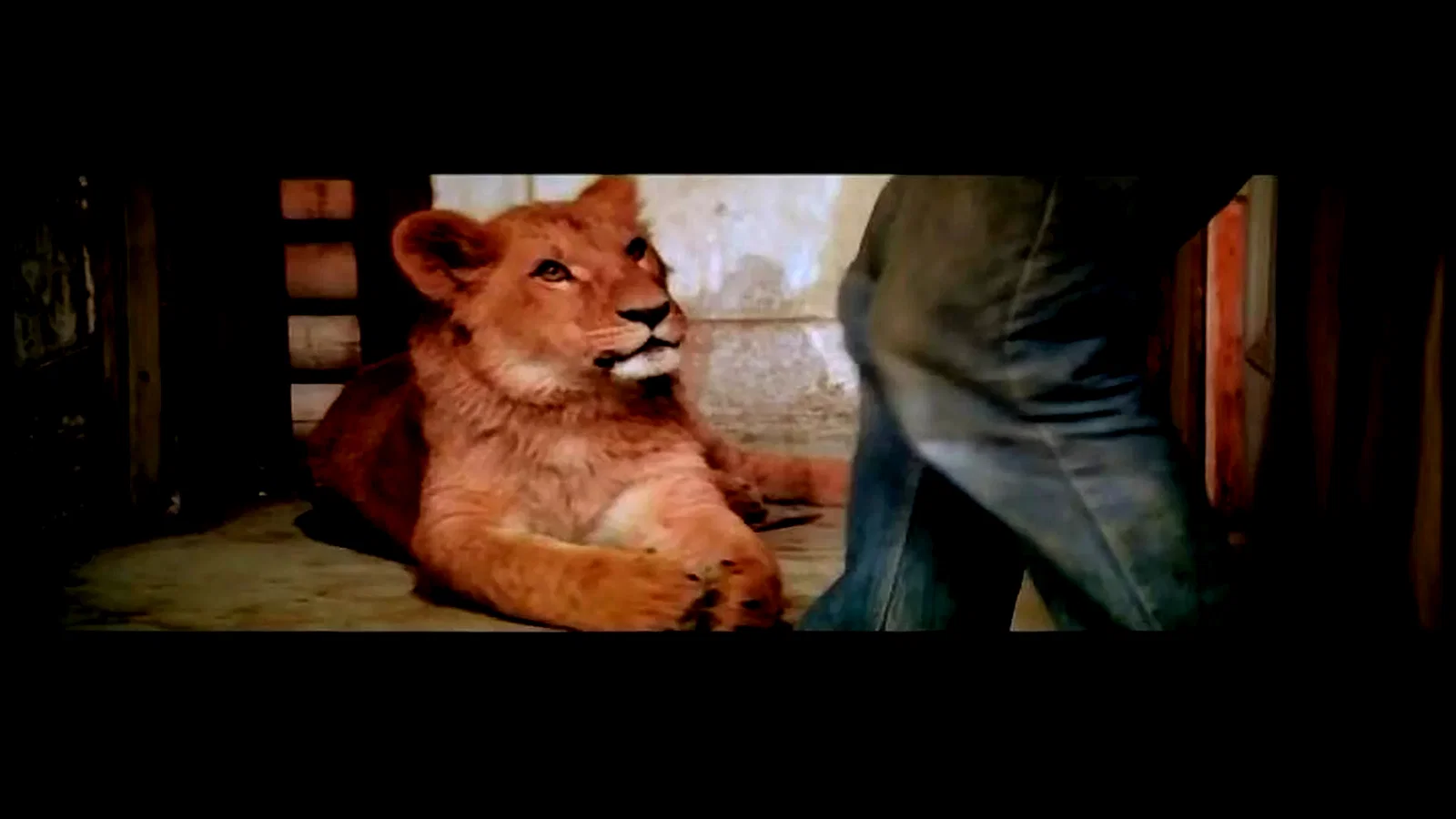 Photo 5 du film : Roar