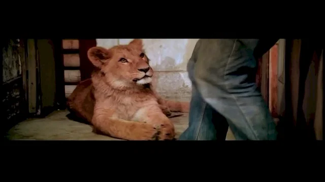 Photo du film : Roar