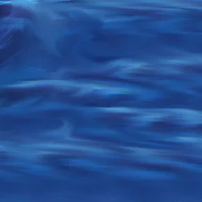 Photo du film : Beyond hypothermia
