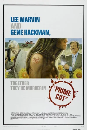 Affiche du film : La prime