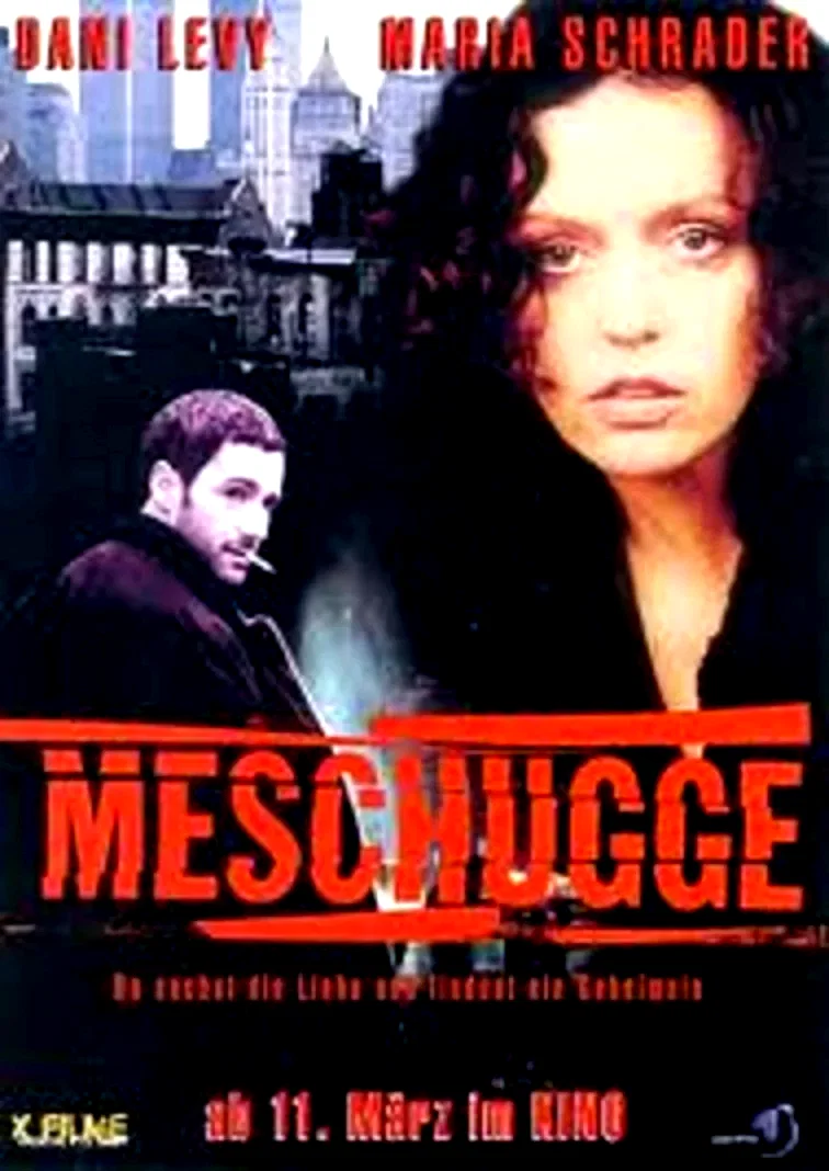Affiche du film : Meschugge