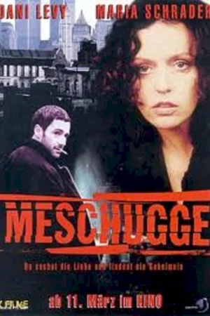 Affiche du film : Meschugge