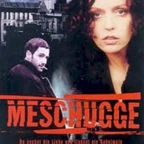 Photo du film : Meschugge