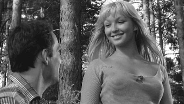 Photo 2 du film : La sorciere