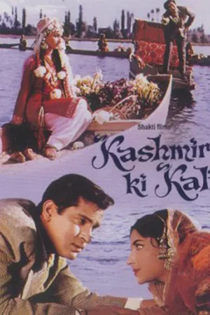 Affiche du film : Kashmir