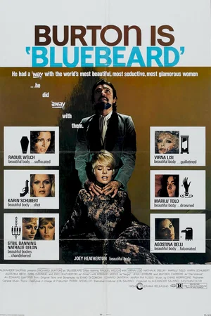 Affiche du film : Barbablu barbablu