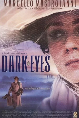 Affiche du film : Les yeux noirs
