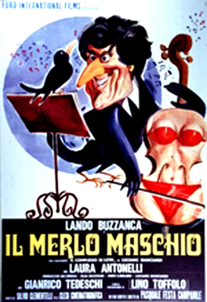 Affiche du film : Ma femme est un violon