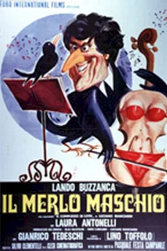 Affiche du film Ma femme est un violon