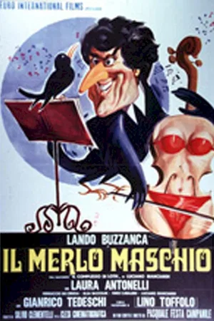 Affiche du film : Ma femme est un violon