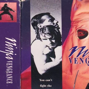 Photo du film : Ninja vengeance