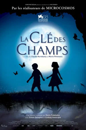 Affiche du film : La cle