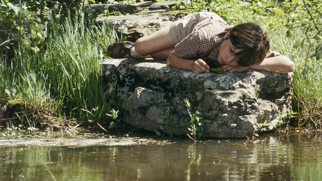 Photo 4 du film : La cle