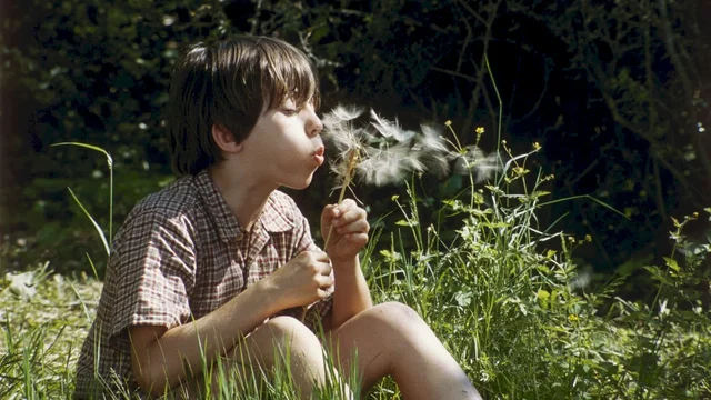Photo 5 du film : La cle