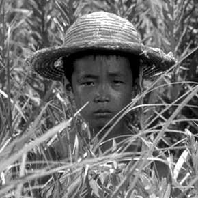 Photo du film : Le traquenard