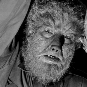 Photo du film : Le loup garou