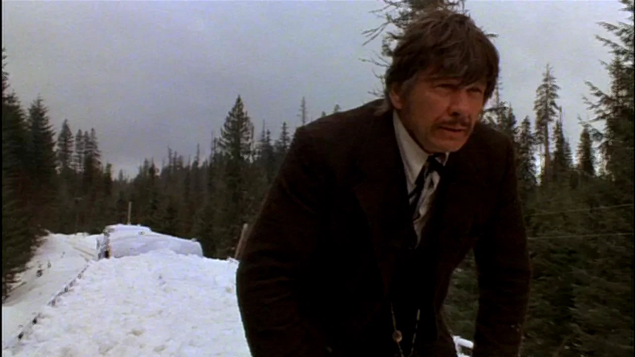 Photo 5 du film : Le solitaire