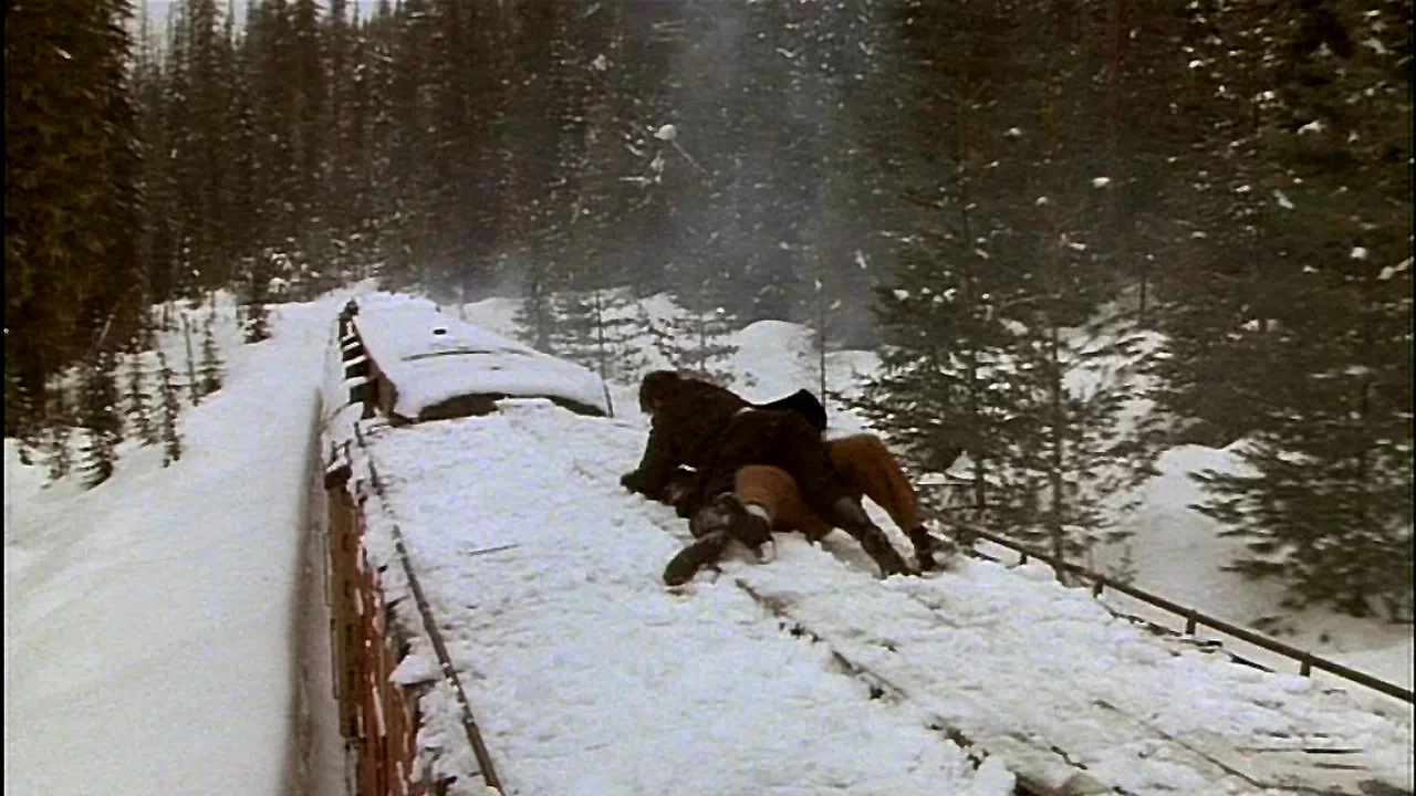 Photo 6 du film : Le solitaire